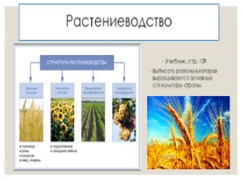 Агропромышленный комплекс России, слайд 5