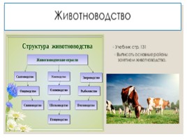 Агропромышленный комплекс России, слайд 6