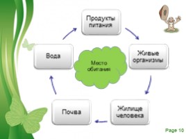 Общая характеристика грибов (5 класс), слайд 10