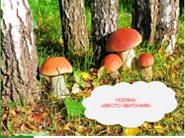 Общая характеристика грибов (5 класс), слайд 8