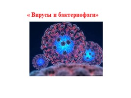Вирусы и бактериофаги, слайд 1