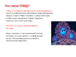 Вирусы и бактериофаги, слайд 17