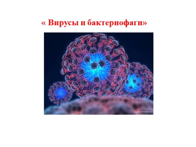 Презентация Вирусы и бактериофаги