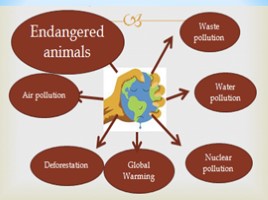 Ecological problems, слайд 7