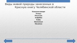 Красная Книга Челябинской области, слайд 4