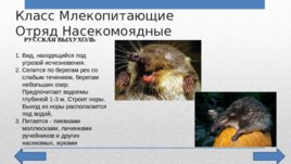 Красная Книга Челябинской области, слайд 6