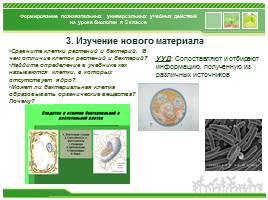 Формирование познавательных УУД на уроках биологии 5 класса, слайд 7