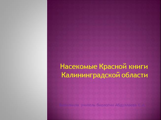 Презентация Насекомые Красной книги Калининградской области