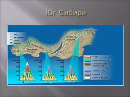 Высотная поясность, слайд 15