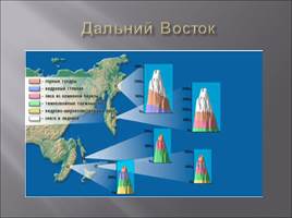 Высотная поясность, слайд 19