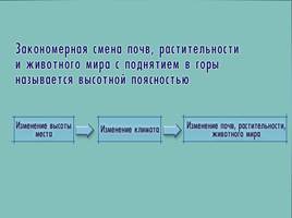 Высотная поясность, слайд 9