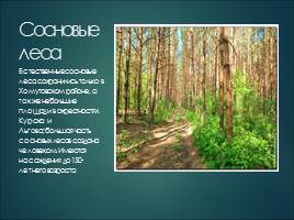 Растительный мир Курской области, слайд 11