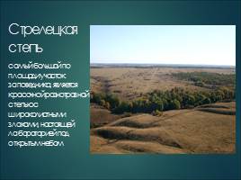 Растительный мир Курской области, слайд 20