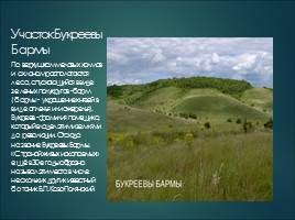Растительный мир Курской области, слайд 22