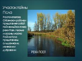 Растительный мир Курской области, слайд 25