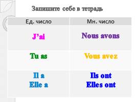 Формы глагола avoir, слайд 10