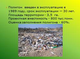 Экологическое состояние городской среды: проблемы и перспективы (Ленинск-Кузнецкий район), слайд 22
