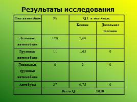Экологическое состояние городской среды: проблемы и перспективы (Ленинск-Кузнецкий район), слайд 25