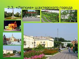 Экологическое состояние городской среды: проблемы и перспективы (Ленинск-Кузнецкий район), слайд 28