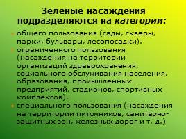 Экологическое состояние городской среды: проблемы и перспективы (Ленинск-Кузнецкий район), слайд 29