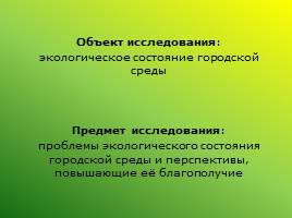 Экологическое состояние городской среды: проблемы и перспективы (Ленинск-Кузнецкий район), слайд 6