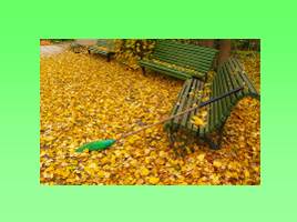 Экологическое равновесие на примере уборки опавших листьев, слайд 7