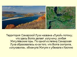 Национальный парк «Самарская лука», слайд 4