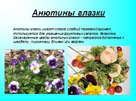 Использование цветов в кулинарии, слайд 3