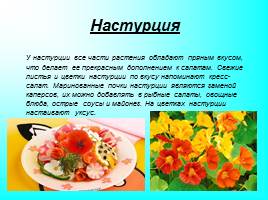 Использование цветов в кулинарии, слайд 6
