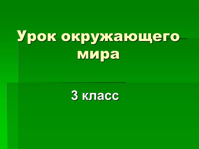 Презентация Дорожные знаки (презентация+конспект)