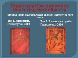 Красная книга Волгоградской области глазами детей, слайд 10