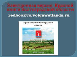 Красная книга Волгоградской области глазами детей, слайд 13