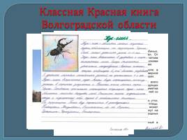 Красная книга Волгоградской области глазами детей, слайд 18