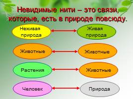 Невидимые нити в природе, слайд 8