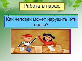 Невидимые нити в природе, слайд 9