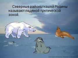 Природные зоны России, слайд 15