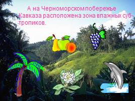 Природные зоны России, слайд 20
