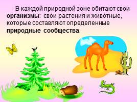 Природные зоны России, слайд 21