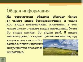Животный мир Волгоградской области, слайд 3