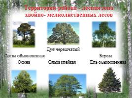 Исследование природных зон Красногорского района Брянской области, слайд 4