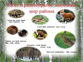 Исследование природных зон Красногорского района Брянской области, слайд 5