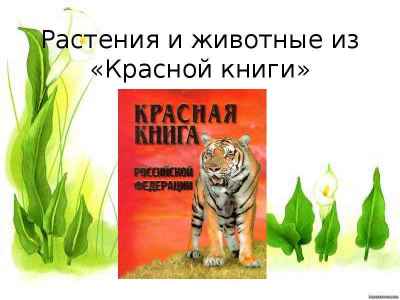 Презентация Растения и животные из красной книги