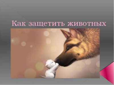 Презентация Защита животных