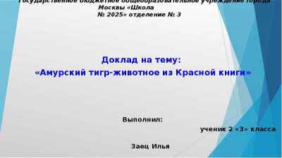 Презентация Амурский тигр - животное из Красной книги