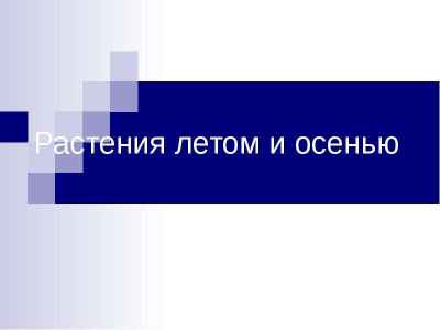 Презентация Растения летом и осенью
