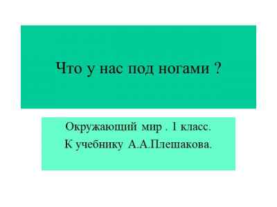 Презентация Что у нас под ногами (1 класс)